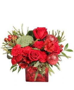 Christmas scarlet floral arrangement by Cole's Flowers