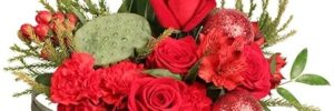 Christmas scarlet floral arrangement by Cole's Flowers