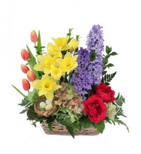 Floral Arrangement from Coles Flowers