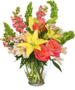 Fresh Floral Arrangement at Cole's Flowers