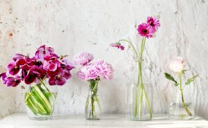 Flower Delivery in Middlebury, VT