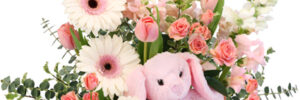 pink new baby flowers with bunny rabbit
