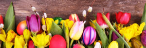 Easter eggs spread across Easter flowers