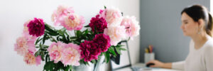 peonies in a garden watering can, on desktop in medical office. woman in the background