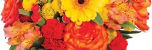 AMBER AWE FLORAL DESIGN