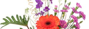 Bewitching Blossoms Floral Arrangement