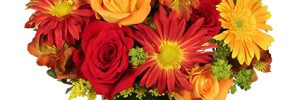 Colorful Canvas Arrangement